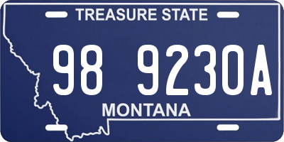 MT license plate 989230A