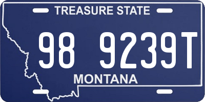 MT license plate 989239T
