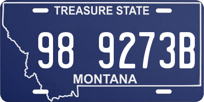 MT license plate 989273B