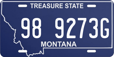 MT license plate 989273G