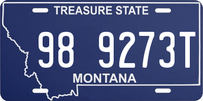 MT license plate 989273T