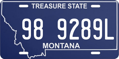 MT license plate 989289L