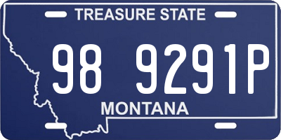 MT license plate 989291P