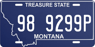 MT license plate 989299P