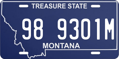 MT license plate 989301M