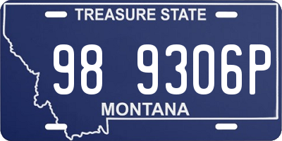 MT license plate 989306P