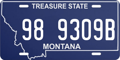 MT license plate 989309B
