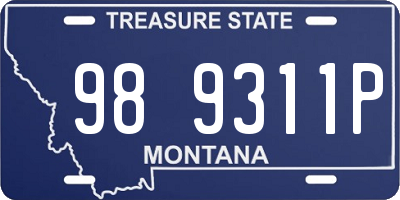 MT license plate 989311P