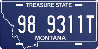 MT license plate 989311T