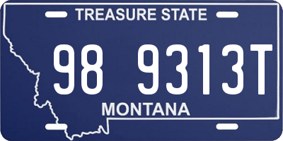 MT license plate 989313T