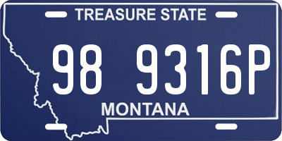 MT license plate 989316P