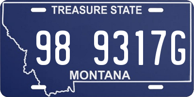 MT license plate 989317G