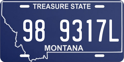 MT license plate 989317L