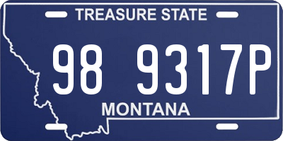MT license plate 989317P