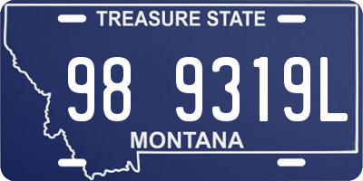 MT license plate 989319L