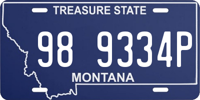 MT license plate 989334P
