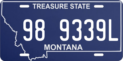 MT license plate 989339L