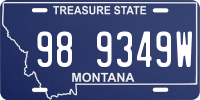 MT license plate 989349W