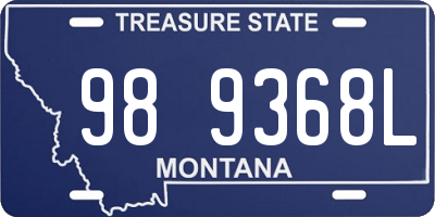 MT license plate 989368L