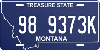 MT license plate 989373K