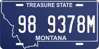 MT license plate 989378M