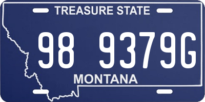 MT license plate 989379G