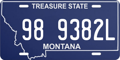 MT license plate 989382L