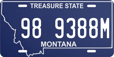 MT license plate 989388M
