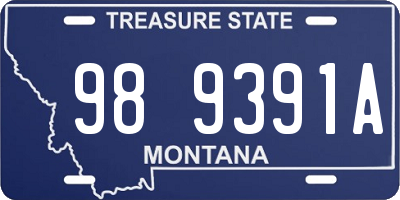 MT license plate 989391A
