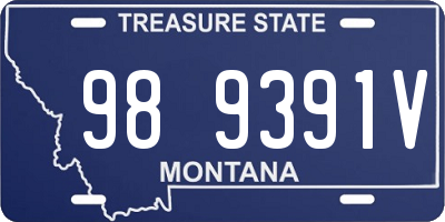 MT license plate 989391V