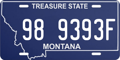 MT license plate 989393F