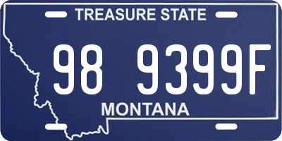 MT license plate 989399F