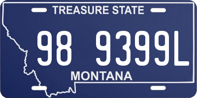 MT license plate 989399L