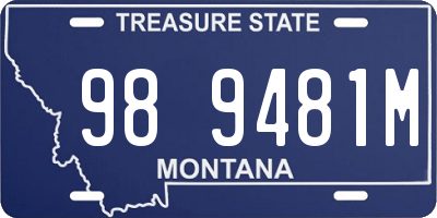 MT license plate 989481M