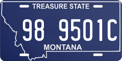 MT license plate 989501C