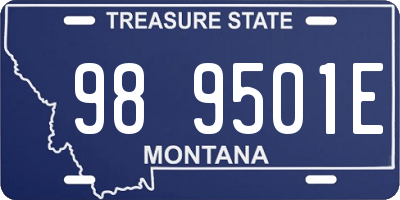 MT license plate 989501E