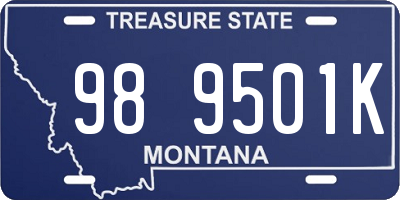 MT license plate 989501K