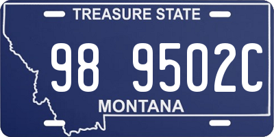 MT license plate 989502C