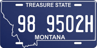MT license plate 989502H