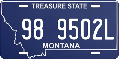 MT license plate 989502L