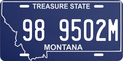 MT license plate 989502M