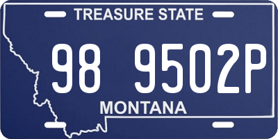 MT license plate 989502P