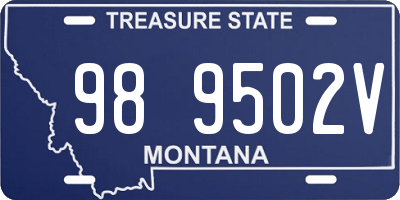 MT license plate 989502V