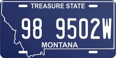 MT license plate 989502W