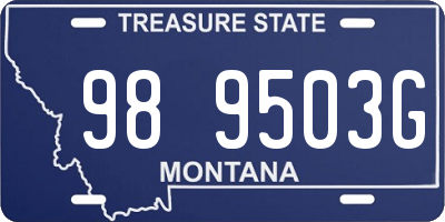 MT license plate 989503G