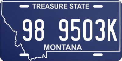 MT license plate 989503K