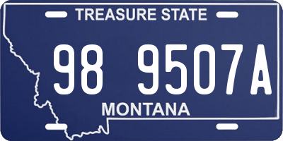 MT license plate 989507A