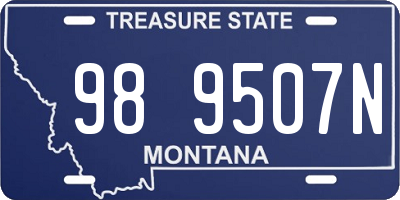 MT license plate 989507N