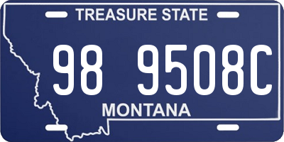 MT license plate 989508C