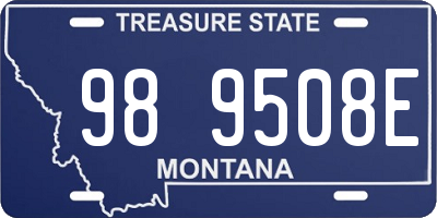 MT license plate 989508E
